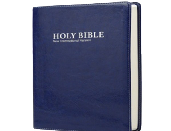 NIV Bible Botswana